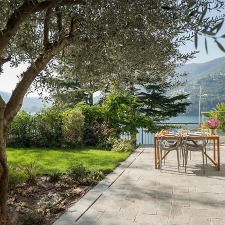 Apartamento Olivo - By Myhomeincomo *