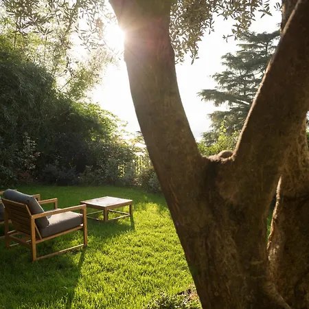 Olivo - By Myhomeincomo