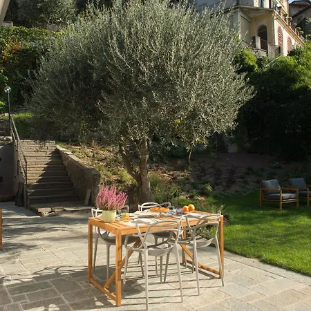 Olivo - By Myhomeincomo *